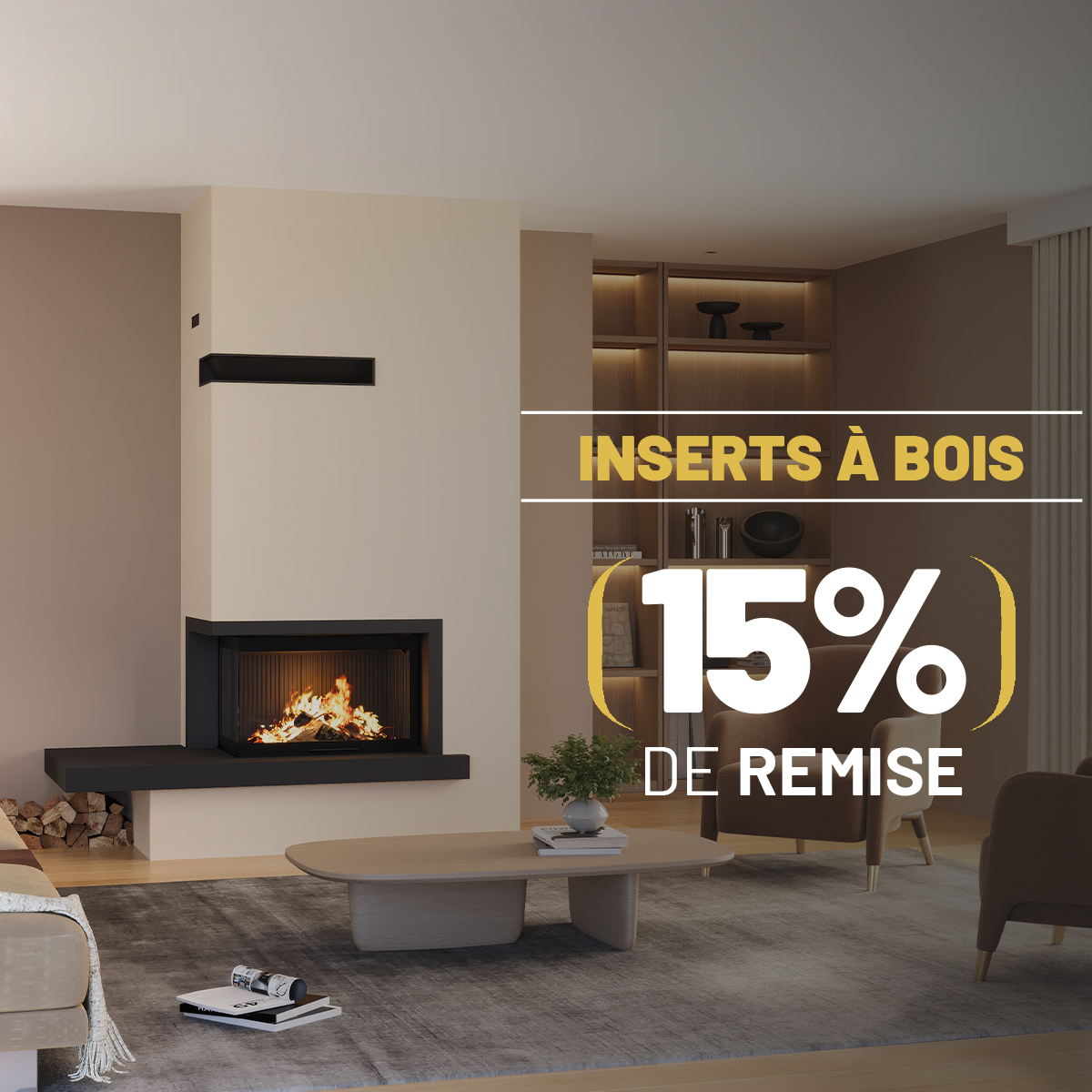 Promotion inserts à bois